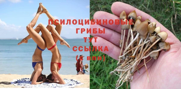 PSILOCYBIN Алексеевка