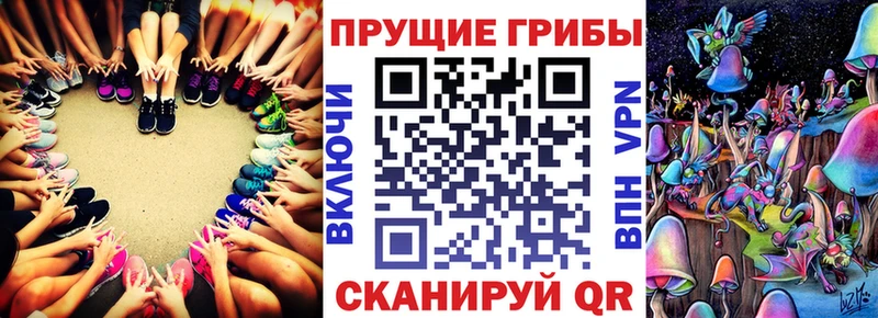 Галлюциногенные грибы мухоморы сколько стоит кракен рабочий сайт Уфа