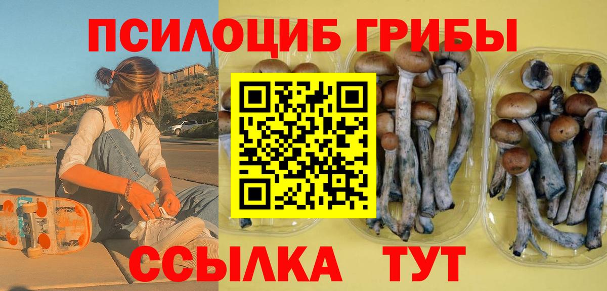 Галлюциногенные грибы мицелий  Вход с VPN  Уфа  Галлюциногенные грибы Cubensis 